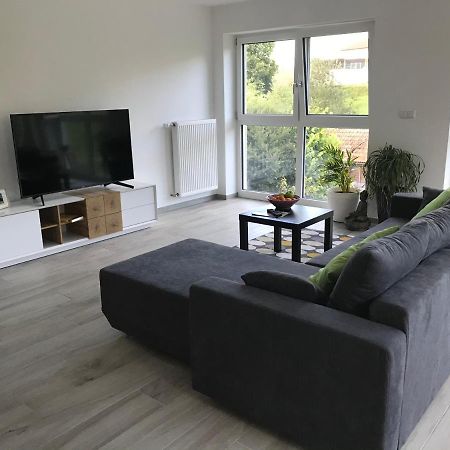 Ferienwohnung „Frosch“ Neukirchen-Balbini Eksteriør bilde